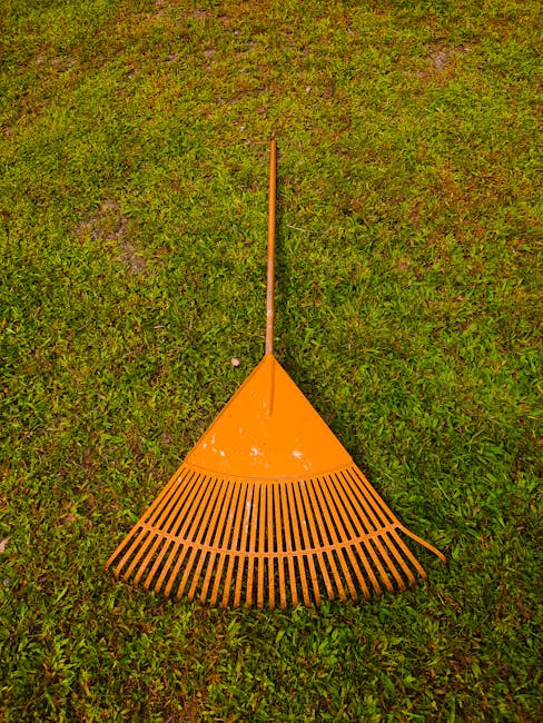 A bright orange plastic garden rake with a long wooden handle lies on a well-maintained lawn, its tines spread out evenly across the grass. The lawn features lush, green grass with a slightly damp appearance, indicating recent watering or rain. Surrounding the rake, the garden bed borders are visible, with some small plants and leaves edging the neatly trimmed grass area. In the background, there are hedge-like bushes and a few young trees with tender, green foliage. The scene is illuminated by natural daylight, casting soft shadows and highlighting the textures of the grass and the rake. The image is associated with gardening services provided by Gardeners Crystal Palace, emphasizing garden maintenance and outdoor care in the local area.