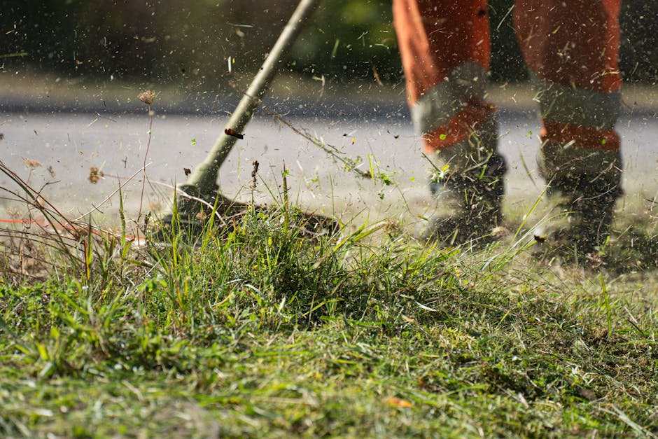 A close-up view of a garden bed being cleared by a gardener, with soil and grass clippings flying through the air as a rake or similar tool is used. The foreground shows a mix of green grass, small plants, and some weeds, with the ground appearing damp or moist. In the background, part of a pathway or lawn area is visible, bordered by neatly trimmed hedges and trees. The gardener, whose legs and boots are partially visible, wears orange or rust-colored trousers and is actively engaged in garden maintenance work. Sunlight illuminates the scene, highlighting the textures of the soil, grass, and flying debris, demonstrating meticulous lawn care and hedge trimming carried out by Gardeners Crystal Palace.