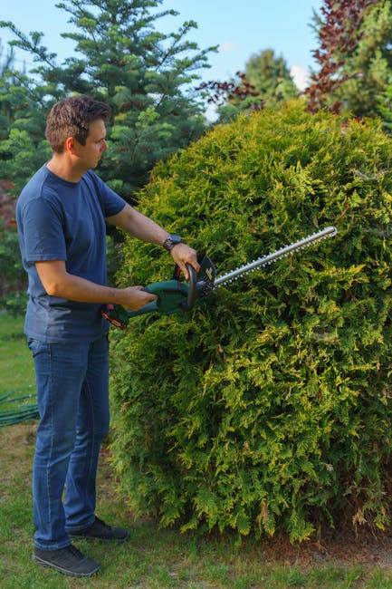 A bright orange plastic garden rake with a long wooden handle lies on a well-maintained lawn, its tines spread out evenly across the grass. The lawn features lush, green grass with a slightly damp appearance, indicating recent watering or rain. Surrounding the rake, the garden bed borders are visible, with some small plants and leaves edging the neatly trimmed grass area. In the background, there are hedge-like bushes and a few young trees with tender, green foliage. The scene is illuminated by natural daylight, casting soft shadows and highlighting the textures of the grass and the rake. The image is associated with gardening services provided by Gardeners Crystal Palace, emphasizing garden maintenance and outdoor care in the local area.